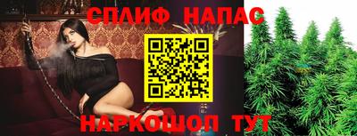 индика Гай