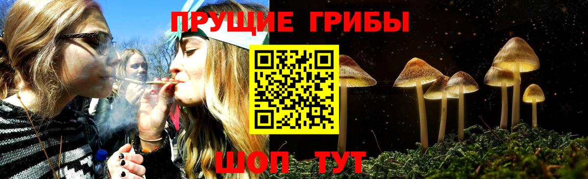 Псилоцибиновые грибы Magic Shrooms  Вход с VPN  Москва 